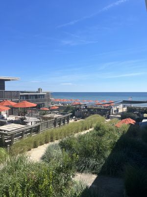 Marram by null