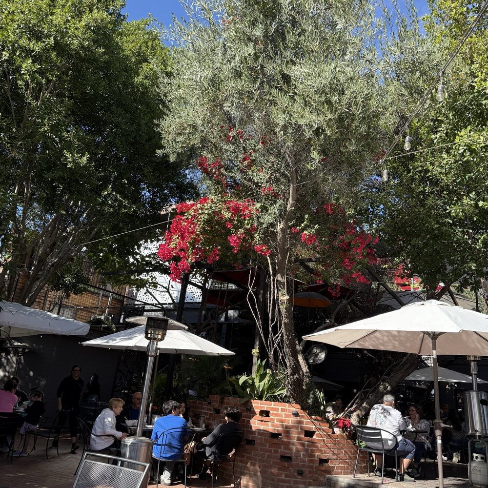 The Perch Brewery - Gastropubs Near Me - Chandler, Arizona The Perch Brewery - Gastropubs Near Me - Chandler, Arizona