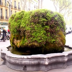 Fontaine Verdoyante