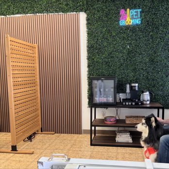 Blue Ribbon Pet Grooming - My pup was waiting his turn. Meanwhile we were offered water and coffee. - Pet Groomers Near Me - Tustin, California Blue Ribbon Pet Grooming - My pup was waiting his turn. Meanwhile we were offered water and coffee. - Pet Groomers Near Me - Tustin, California