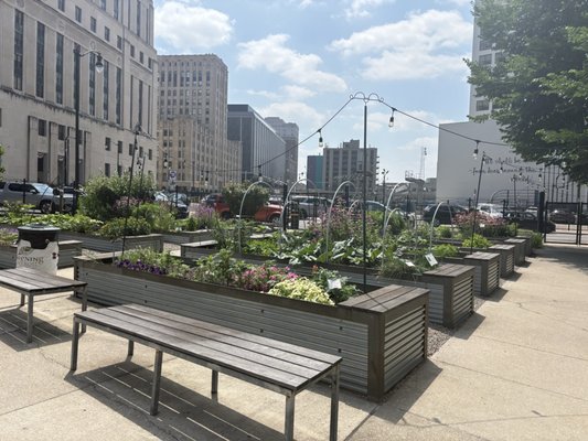 The Greening of Detroit - Lafayette Greens by null