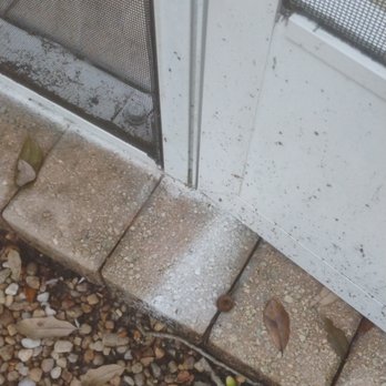 Geo Quality Services - Who does that and leaves it - Demolition Services Near Me