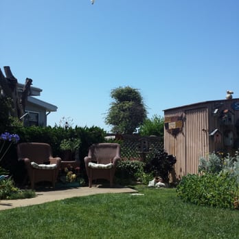 Seaside Motel - Lounging in the garden - Hotels Near Me - Cayucos, California