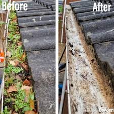 Slide of Pro Gutter Cleaning