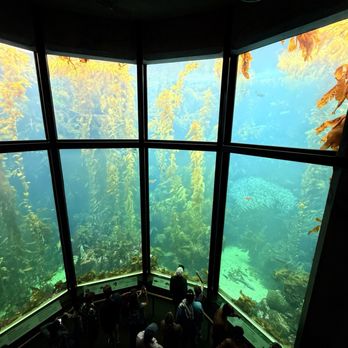 Monterey Bay Aquarium - Aquariums Near Me - Monterey, California
