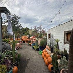Merrihew's Sunset Gardens - 10.27.24