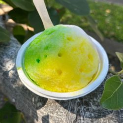 Ululani's Hawaiian Shave Ice - Lahaina - Shave Ice on the iconic Banyan Tree. Arborists are currently working to save the tree