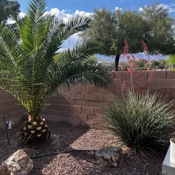 Northwest Landscape & Maintenance - After - Landscaping Near Me - Las Vegas, Nevada Northwest Landscape & Maintenance - After - Landscaping Near Me - Las Vegas, Nevada