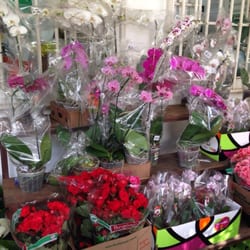 Floricultura Uriel