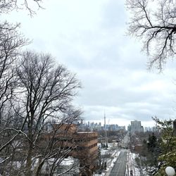 Baldwin Steps
