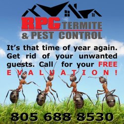 RPG Termite & Pest Control