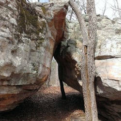 Mushroom Rocks