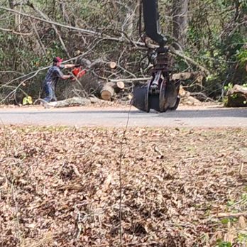Dennis Burton Tree Services - Tree Services Near Me Dennis Burton Tree Services - Tree Services Near Me