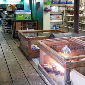 Wachter Hay & Grain - Pet supplies and chickens - Pet Stores Near Me - Ojai, California Wachter Hay & Grain - Pet supplies and chickens - Pet Stores Near Me - Ojai, California
