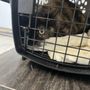 Photo of Happy Paws Animal Hospital