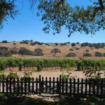 Rusack Vineyards - Amazing view from our eating area. - Wineries Near Me - Solvang, California