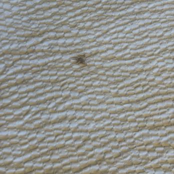 Inn At Rockaway - Bed cover and sheets stained in multiple spots. - Hotels Near Me - Pacifica, California Inn At Rockaway - Bed cover and sheets stained in multiple spots. - Hotels Near Me - Pacifica, California
