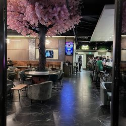 Pandacorn Cafe