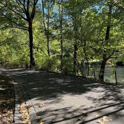 Waterfalls in Central Park
