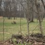 Photo of Fairmount Falls