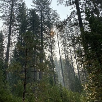 Pipi Campground - Campgrounds Near Me Pipi Campground - Campgrounds Near Me