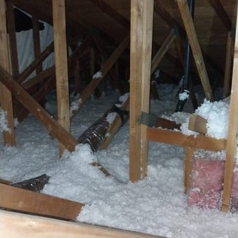 Attic Pros - Pest Control Near Me - Oakland, California
