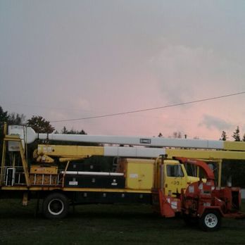 S & D Tree Service - Tree Services Near Me