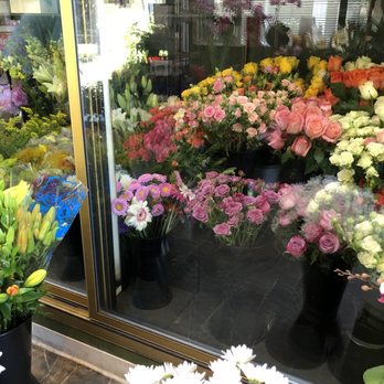Morning Glory - Florists Near Me - Novato, California Morning Glory - Florists Near Me - Novato, California