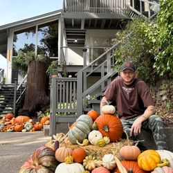 Pumpkin patch at home - We create spaces to remember