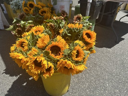 Beverly Hills Farmers Market by null