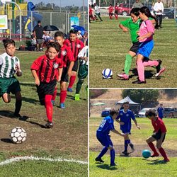 AYSO La Mesa Region 89