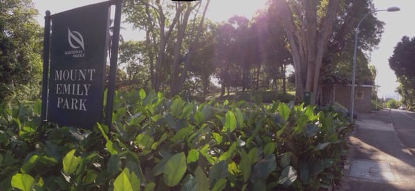 Mount Emily Park by null