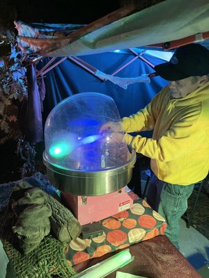 Haunted Gallows by null