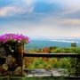 Photo of The Sandy Martin Gallery