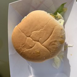 Go Go Vegan Go