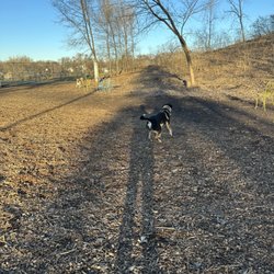 Arlington-Arkwright Dog Park