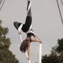 Photo of Aerial Arts