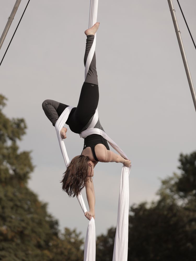 Aerial Arts Logo