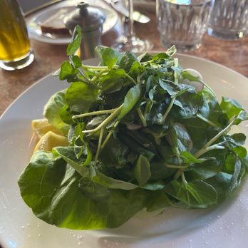Le Zoo - Mixed green salad - French Near Me - Miami Beach, Florida Le Zoo - Mixed green salad - French Near Me - Miami Beach, Florida