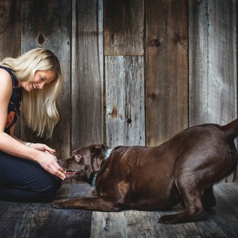 Coulter Mobile Veterinary Services - Dr. Laura Coulter and her chocolate Labrador, Kona - Veterinarians Near Me - Barrie, Ontario Coulter Mobile Veterinary Services - Dr. Laura Coulter and her chocolate Labrador, Kona - Veterinarians Near Me - Barrie, Ontario