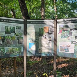 Warren Woods State Park