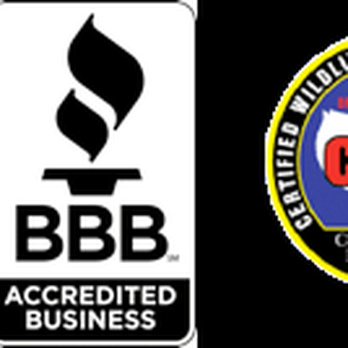 Illinois Wildlife Services - Pest Control Near Me Illinois Wildlife Services - Pest Control Near Me