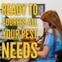 Photo of ZipZap Termite & Pest Control