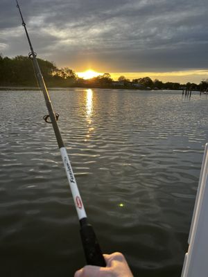 Carnival Crabs by null