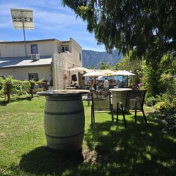 Vibe Cellars
