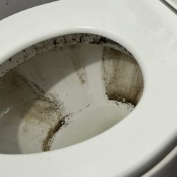 Railroad Blues - Just gross