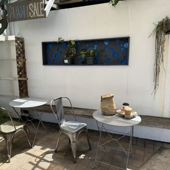 Ocean Beach Coffee and plants - Outside patio - Coffee & Tea Near Me - San Diego, California Ocean Beach Coffee and plants - Outside patio - Coffee & Tea Near Me - San Diego, California