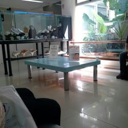 American Dental Center - Sala de espera full full
