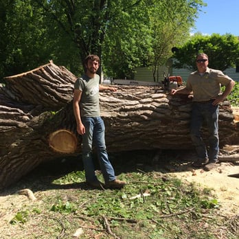 Cookes Tree Service 1 - Tree Services Near Me - Humboldt, Iowa Cookes Tree Service 1 - Tree Services Near Me - Humboldt, Iowa