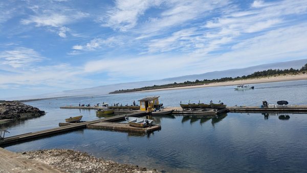 Jetty Fishery Marina & RV Park